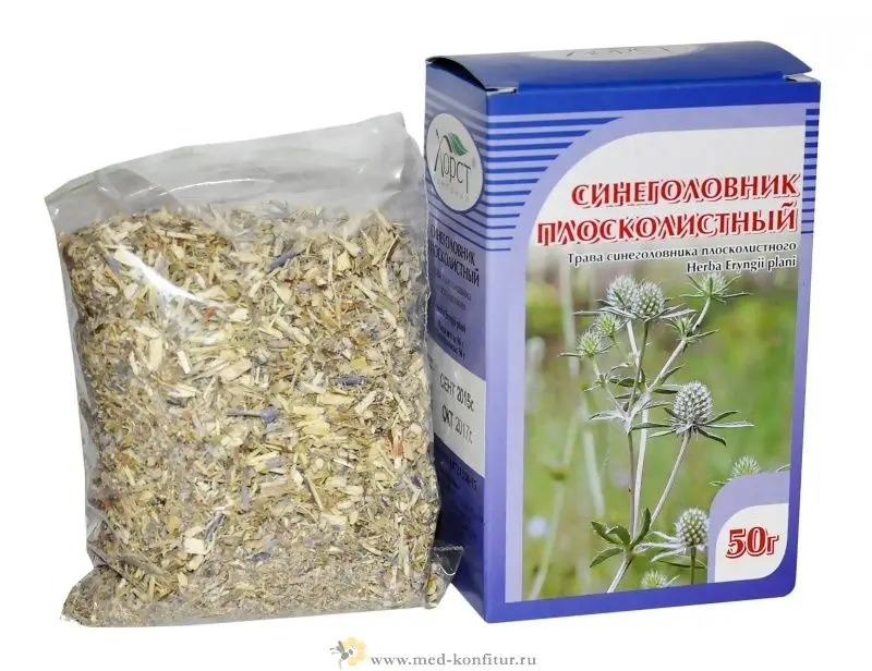 Синеголовник Купить