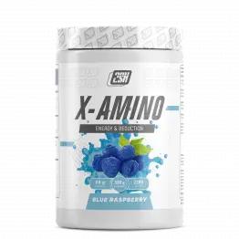 Комплекс Аминокислот X-Amino 2SN 360 гр.