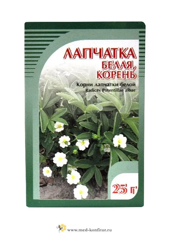 Лапчатка белая как принимать фото - Arhids.ru