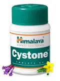 Цистон Хималая (против цистита и др.хронических инфекций) Cystone Himalaya 60 табл.