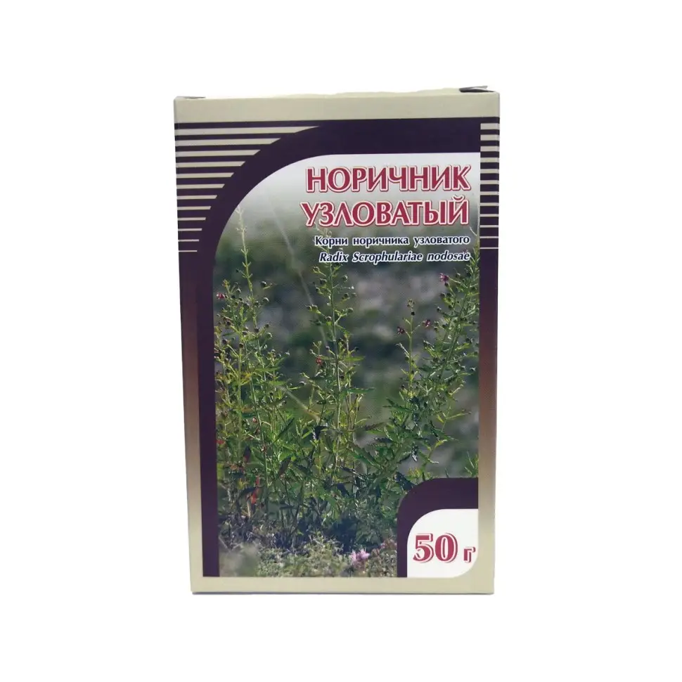 Норичник Узловатый корень 50 гр. 