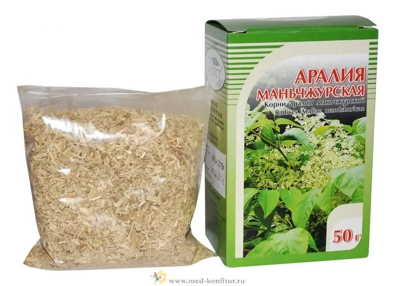 Vologda lezbiyen klubi