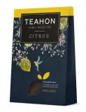 Имбирно-цитрусовый, жидкий концентрат чайного напитка TEAHON, 170 мл