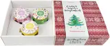 Подарочный набор "С Новым Годом и Рождеством Ёлочка" мёд с киви, донниковый, гречишный твист-офф и ложечка медовая