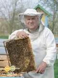Мёд донниковый с бугельным замком 250 гр