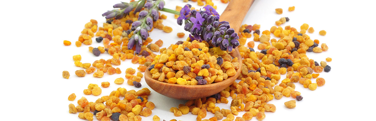 Пчелиная пыльца: полезные свойства, противопоказания, рецепты для применения