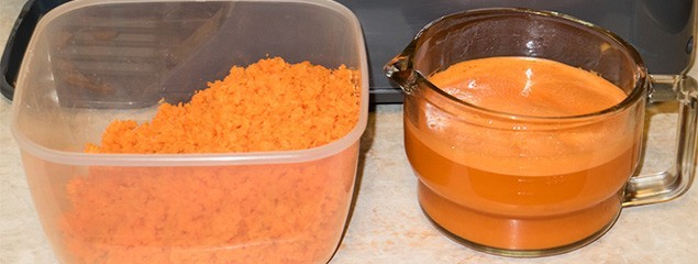 Жмых моркови после соковыжималки польза и вред