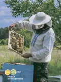 Мёд каштановый в пластиковой банке Вкус Жизни New 300 гр. 
