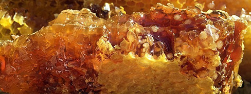 Мед в сотах - калорийность, польза, как употреблять